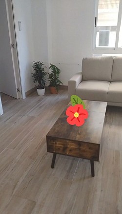 Limpieza salón
